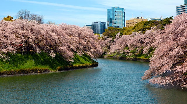 Tokyo weather and climate ☀️ Water temperature 💧 Best time to visit